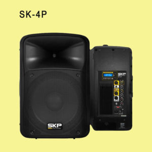 SKP Pro Audio Loudspeaker 10"